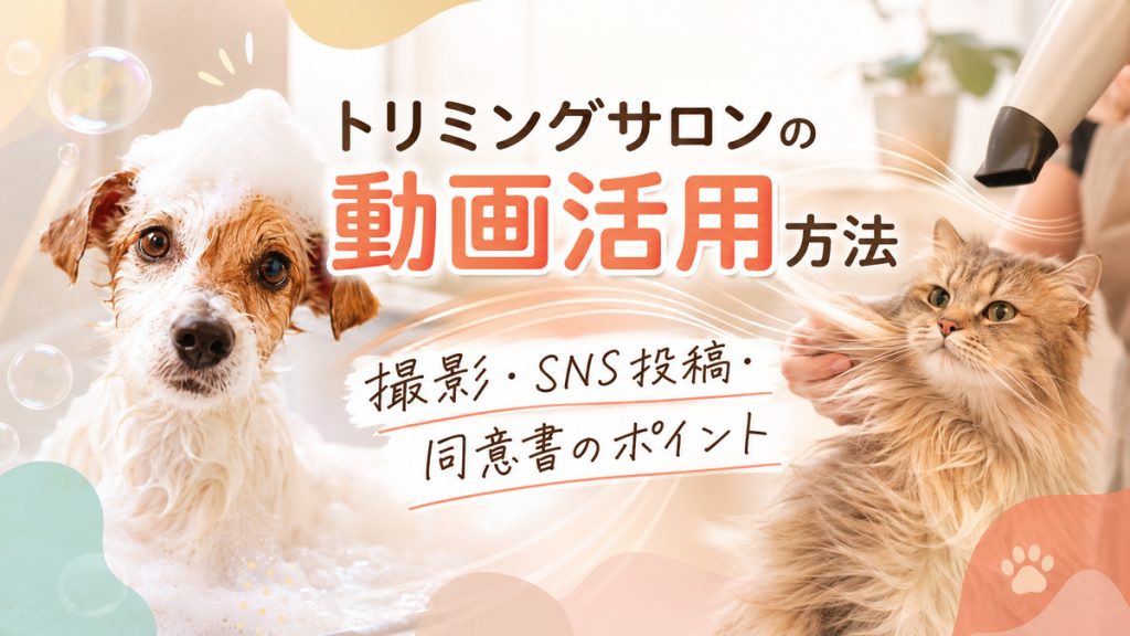 トリミング中の濡れた犬とドライヤーで毛を乾かしてもらう長毛猫を描いた、トリミングサロンの動画活用方法のアイキャッチ画像